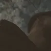 dysej5dsble1