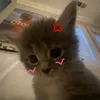a_ni_me006