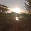 adrianapassosalves1