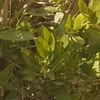 z_68rt