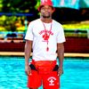 lifeguardswimcoach