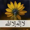user9819886096988