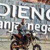 nazar3774