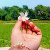 erina___islam