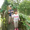 jendral871