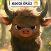 hesenli_977