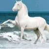 michelregionaquitaine