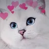 olesya_kat3