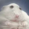 honeybunsurvivor69