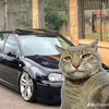fellype_tz9