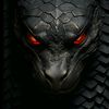 www.tiktok.comblackcobra