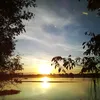 elllen455