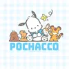 pipopipoccha