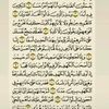 warda_960