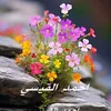 ahmed_.rt