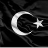 sultanbey313