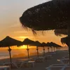 paloulou293522