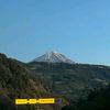 max_07906