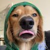 WINSTON_DA_WEEN