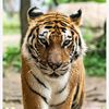 alex_1234v
