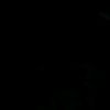 userxup1