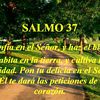 isaleiva2020