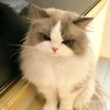 mizu_2029