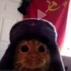 .monke_vrr