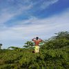 guardiantales.indo62