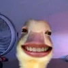 _okelah__
