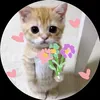 buiquy_0710