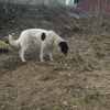 igorukraina728