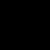 mippp__21