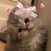 fatima_girl70