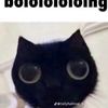 peanutbutter_7483