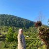 annimulyani93