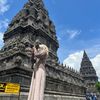 nvdcitra_