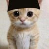mazz_riz