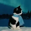 user93ksfkqwzi