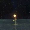 himawarisunflowers