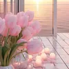 shireenmuhammed70
