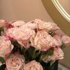 amjad.y21