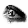 dyhw1hbfxq3e