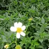 bulanaprilll05
