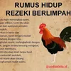 bungamawarr3388