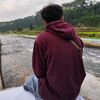 lupi_353