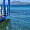 hasankama00