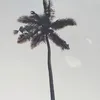 sukaasukaasayaaokeh