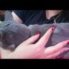 jenichavezfer1234