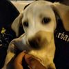 matiasbenjam1n_